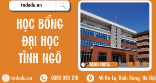 HỌC BỔNG ĐẠI HỌC TỈNH NGÔ