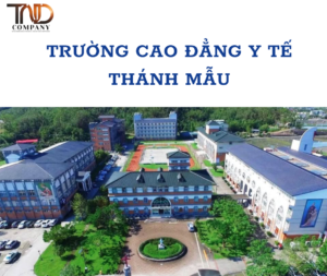TRƯỜNG CAO ĐẲNG Y TẾ THÁNH MẪU