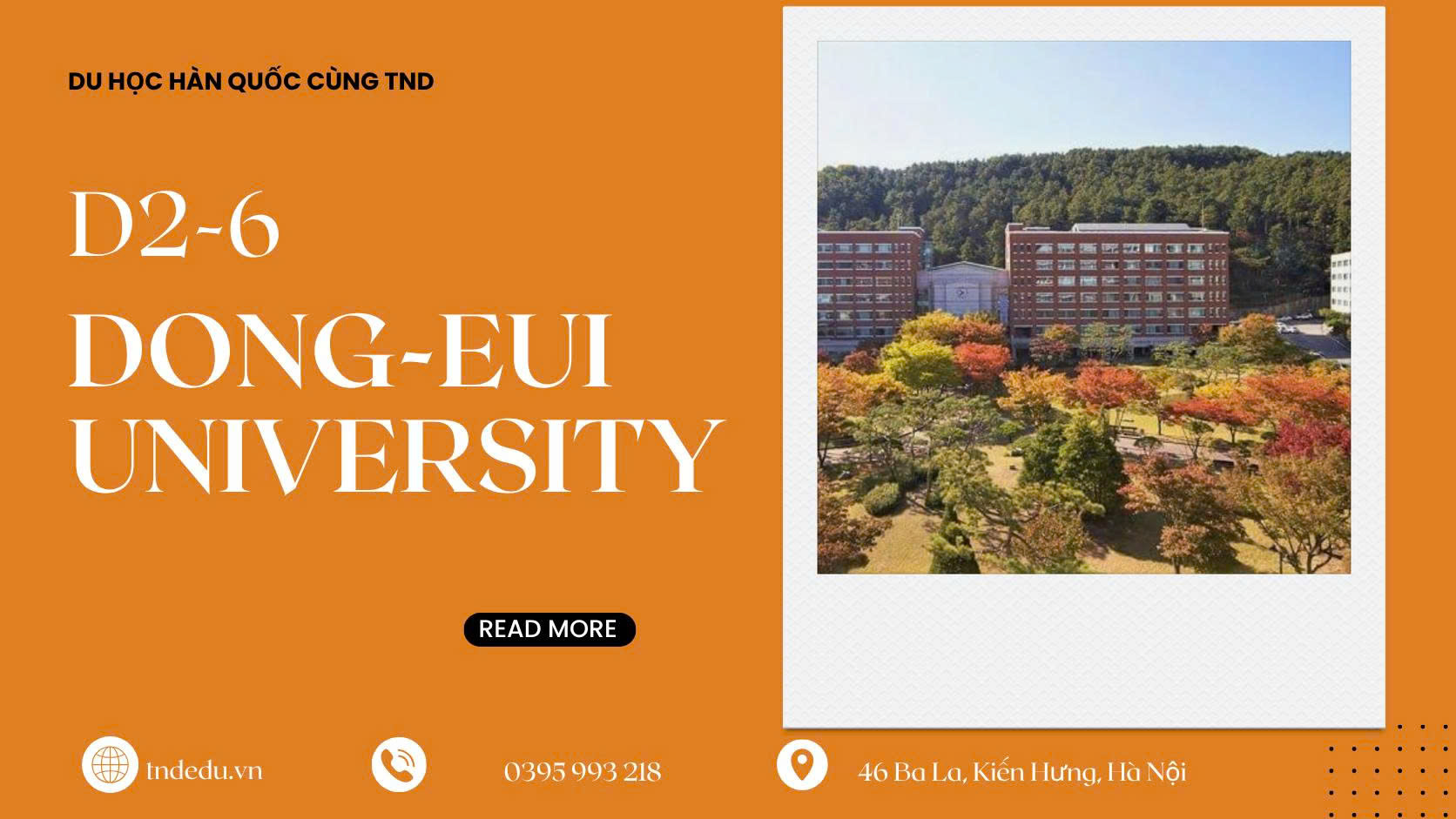 d2-6-truong-dong-eui