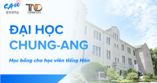 Học bổng Đại học Chung-Ang 2026 dành cho học viên quốc tế