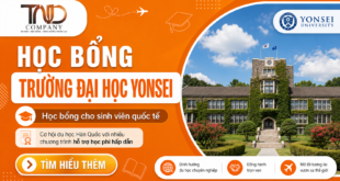 HỌC BỔNG ĐẠI HỌC YONSEI
