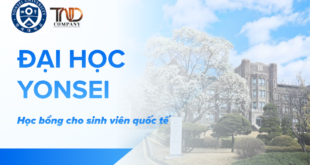 Học bổng Đại học Yonsei 2026 dành cho sinh viên quốc tế
