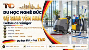 du học nghề Đức-vệ sinh tòa nhà