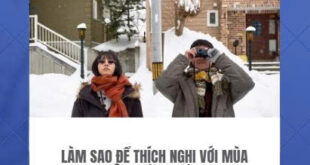 Làm sao để thích nghi với mùa đông Hàn Quốc